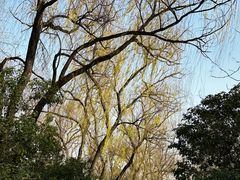 -洛阳市隋唐城遗址植物园