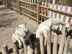 -水上乐园·欢乐世界