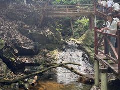 -波尔登森林公园