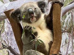 -费瑟代尔野生动物园