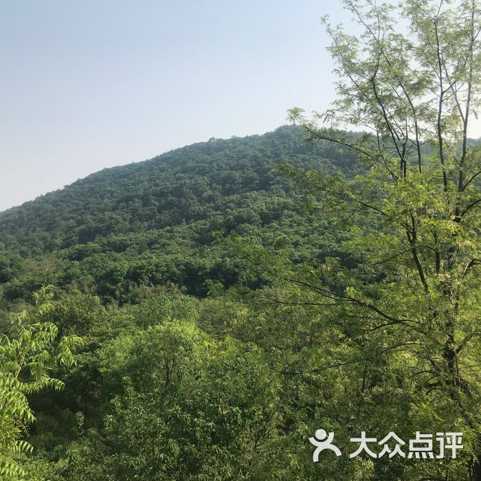 老山国家森林公园图片-北京公园-大众点评网