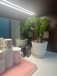 -十三美学·半永久纹眉纹唇·野生眉