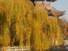 -济南大明湖景区