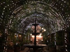 -The Grounds of Alexandria