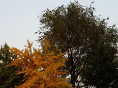-辽宁大学(崇山校区)