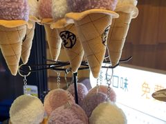-野人先生现做冰淇淋(北京顺义祥云小镇店)
