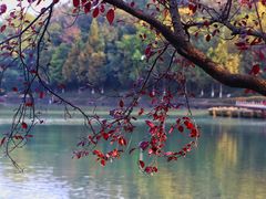 -南京珍珠泉风景区