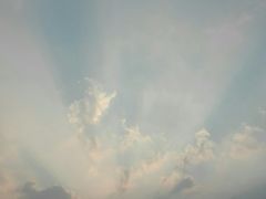 -亭林园-华藏寺