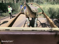 -亿利库布其七星湖沙漠生态旅游区