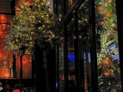 -THE CANNERY&JUJU 新鲜海鲜·牛排美食酒廊