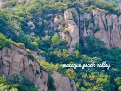 -大岭沟猕猴桃谷风景区