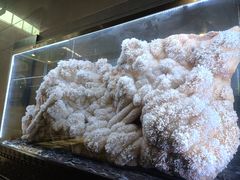 -湖南省地质博物馆