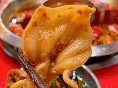 -谭鸭血老火锅(漳州路店)