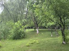 -九里河湿地公园