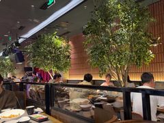 -同仁四季椰子鸡(海岸城天利店)
