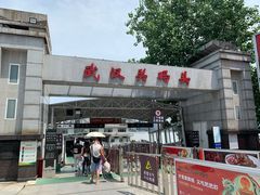 -武汉关码头(轮渡站)