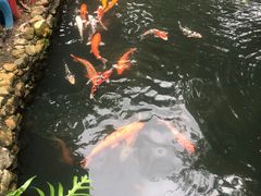 -呀诺达热带雨林