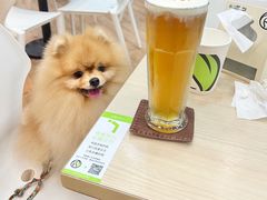 -813芭依珊 BAESAn(皇冠十畝地店)