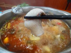 酸萝卜鱼火锅-大理.老字号渝记酸萝卜乌鱼(古城总店)