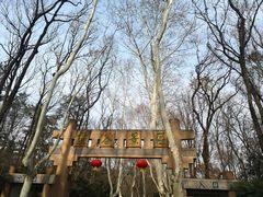 门面-灵谷景区