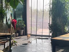 -北马山庄植趣咖啡