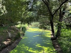 -长白岛森林公园