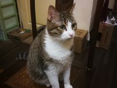 -静安别墅