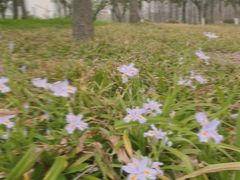 -尚贤河湿地