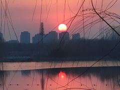 -大兴滨河森林公园