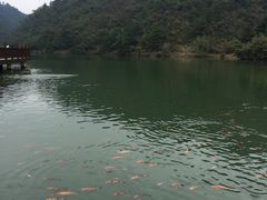 -大明山自然探索公园