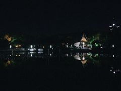 -桐乡植物园