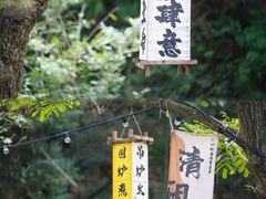 -宁波五龙潭景区