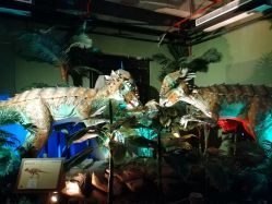 点击看大图 -恐龙探索乐园(磁器口店)