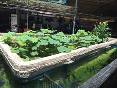 -荷香居(洞企石路店)