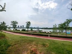 -九龙湖公园