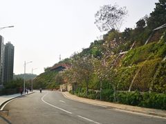 -小南山公园