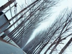 -兴教寺