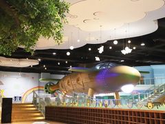 -杭州开元森泊度假乐园