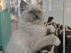 -龟与熊猫宠物公园(南坪店)