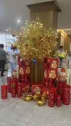 -宝生月子中心·独栋独院式(南山店)