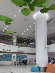 -上海市儿童医院(泸定路院区)