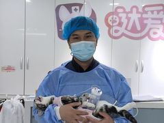 -达爱动物医院·犬猫分区·CT·复杂眼科(远洋山水分院)