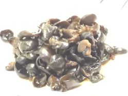 -梅龙镇酒家·宴会厅(南京西路总店)