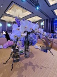 点击看大图 -苏派宝宝生日宴·求婚策划·气球派对布置(园区店)