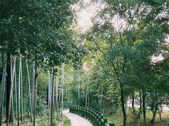 -大蜀山国家森林公园