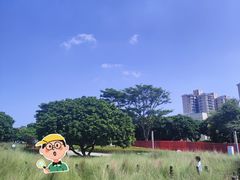 -红花山公园
