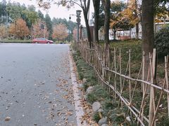 -三圣花乡旅游区