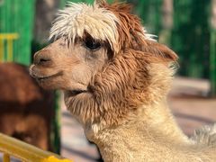 -五龙山野生动物王国