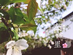 -荆川公园