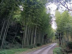 -黄公望隐居地